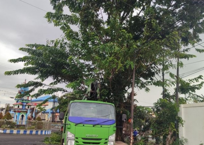 DLH Bengkulu Antisipasi Cuaca Ekstrem dengan Pemangkasan Pohon Protokol