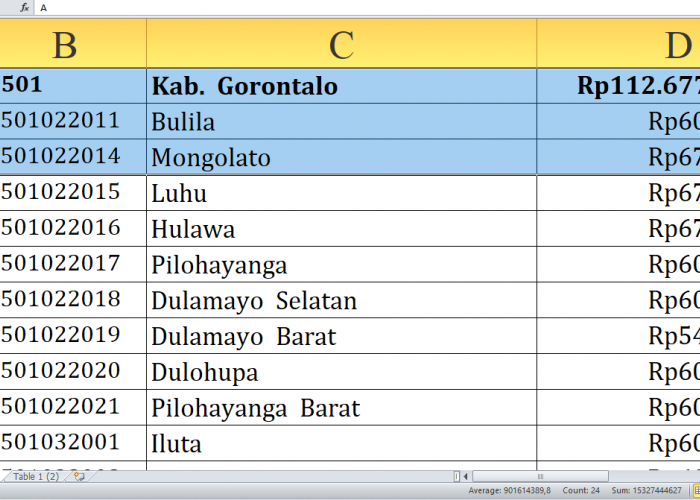 Rincian Dana Desa Tahun 2025 Tiap Desa di Gorontalo, Total Rp160,5 Miliar: Ini Desa Terbesar