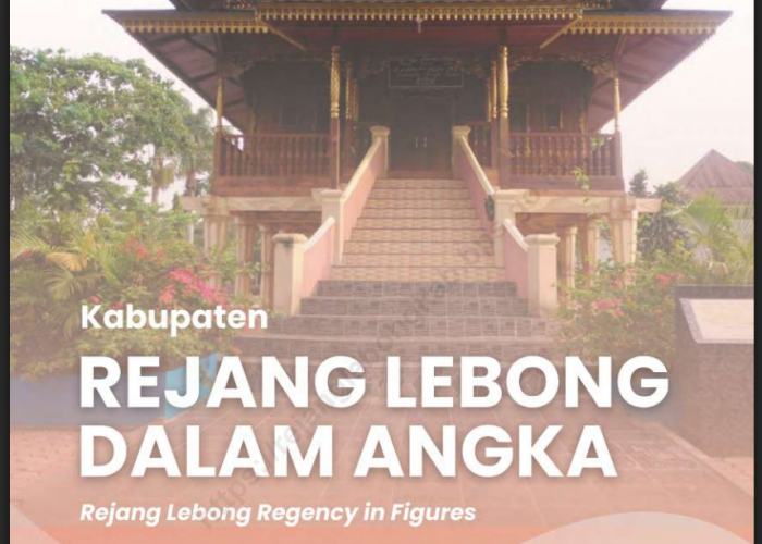 BPK Temukan Salah Anggaran Pengadaan Laptop dan Proyektor Sekolah Swasta di Rejang Lebong