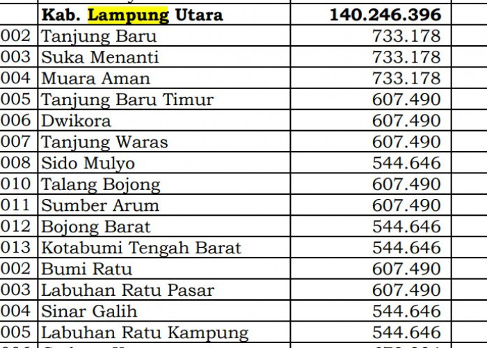 Berapa Rincian Dana Desa 2024 Lampung Utara, Lampung? Cek Jawabannya di Sini