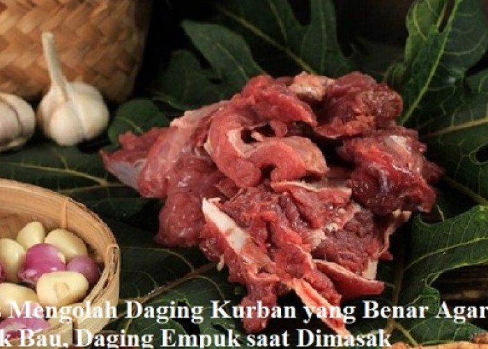 Wajib Tahu, Berikut Tips Mengolah Daging Kurban yang Benar Agar Tidak Bau, Daging Empuk saat Dimasak