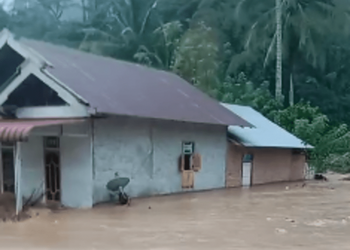BREAKING NEWS: Sungai Ketahun Lebong Bengkulu Meluap, Ratusan Rumah Warga Terendam Banjir