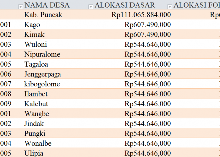 Tabel Rincian Dana Desa 2024 Kabupaten Puncak, Papua Tengah: Ini Lengkapnya