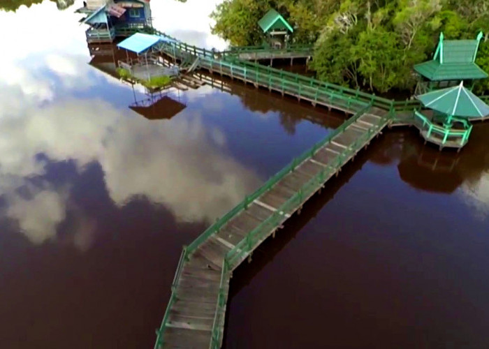 Wow! Kalimantan Juga Punya Danau Merah, Intip Pesonanya di Sini
