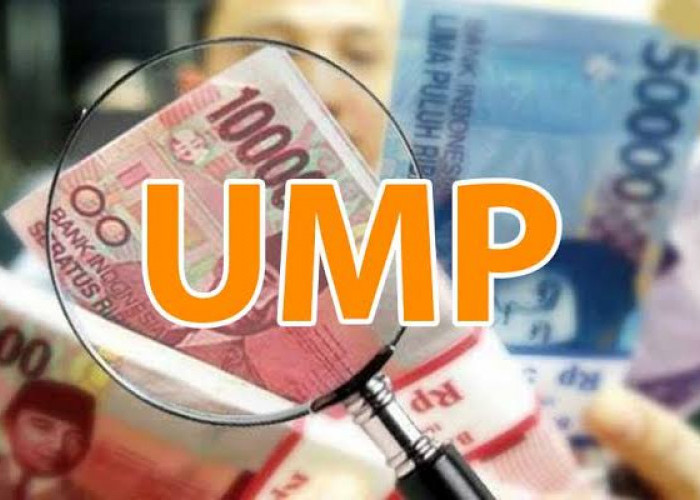 Gaji Mengacu UMP, Ketua RT Se-Indonesia Pasti Sumringah
