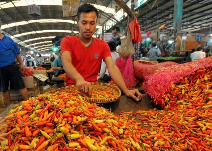 Harga Cabai Rawit Merah Melonjak, Bapanas Tindak Lanjuti Kenaikan dengan Pemantauan Ketat