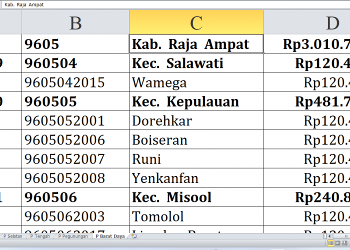 Desa di Kabupaten Raja Ampat dan Tambrauw Raih Dana Insentif Desa Tahun 2024, Berikut Ini Daftarnya