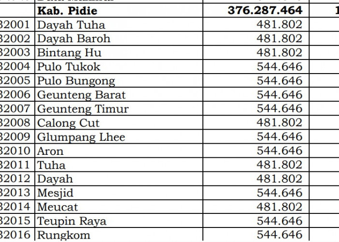 Dana Desa Tiap Desa 2024 di Pidie, Aceh: 18 Desa 1 Miliar