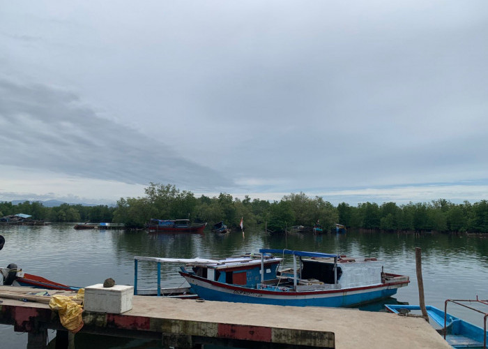 Hutan Mangrove Pulau Baai, Wisata Alam yang Bikin Betah dan Punya Pemandangan Instagramable