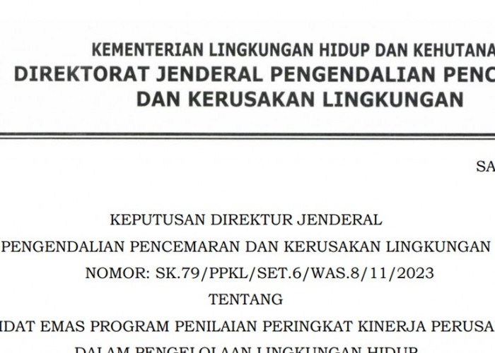 Masuk Kandidat Emas! Layakkah Perusahaan di Sumatera Selatan - Sumatera Barat – Sumut Ini?