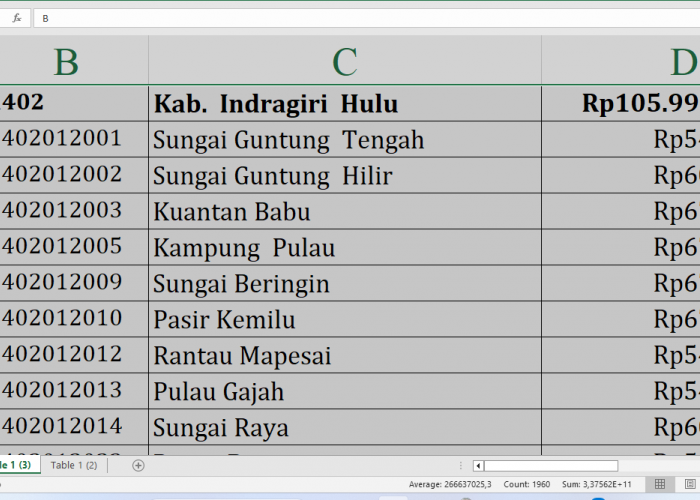 Di Sini Lengkap Rincian Dana Desa 2025 Indragiri Hulu Provinsi Riau Rp Miliar, Cek Desa Terbesar Penerima