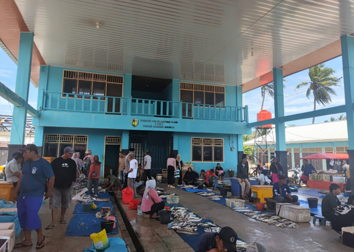 Cuaca Buruk di Pantai Pasar Bawah Berdampak pada Nelayan dan Pedagang di Bengkulu Selatan, Hasil Laut Sedikit