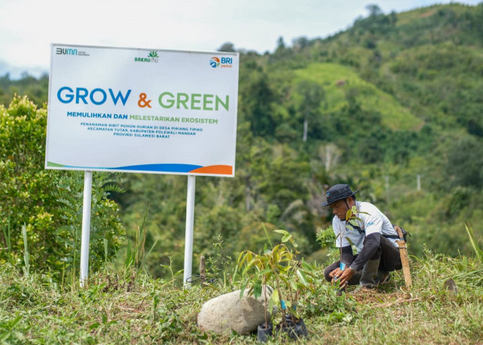 Bangkitkan Harapan Petani di Lahan Kritis, BRI Menanam Grow and Green Salurkan Bantuan Tanaman Produktif