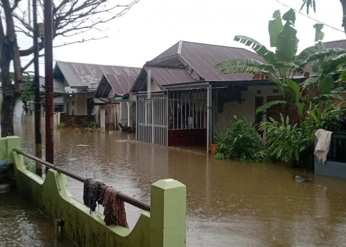 Dilanda Hujan Deras Semalaman, Puluhan Rumah Warga di Bengkulu Mulai Terendam Banjir
