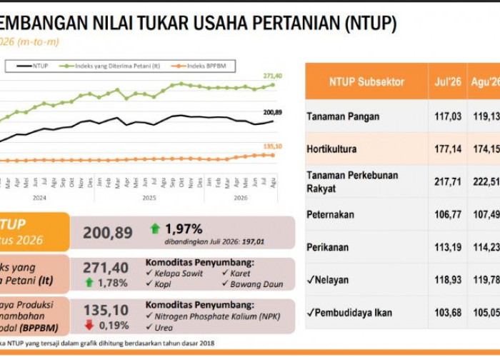 NTP Hortikultura Bengkulu Anjlok 2,04 Persen, Harga Sayuran Jadi Biang Kerok