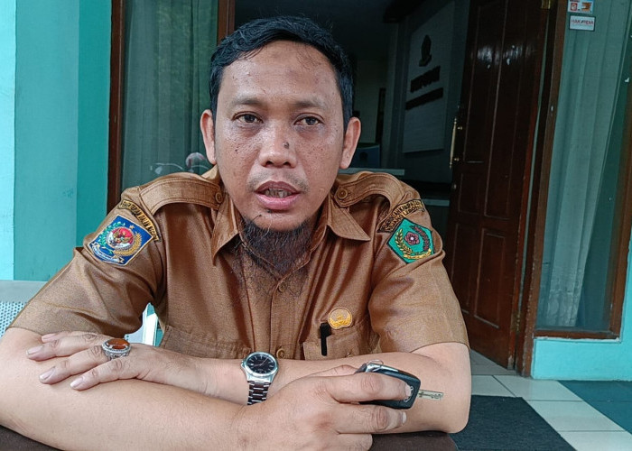 Nasib Peserta PPPK Tak Lulus Seleksi, BKPSDM Rejang Lebong Sampaikan Langkah Selanjutnya