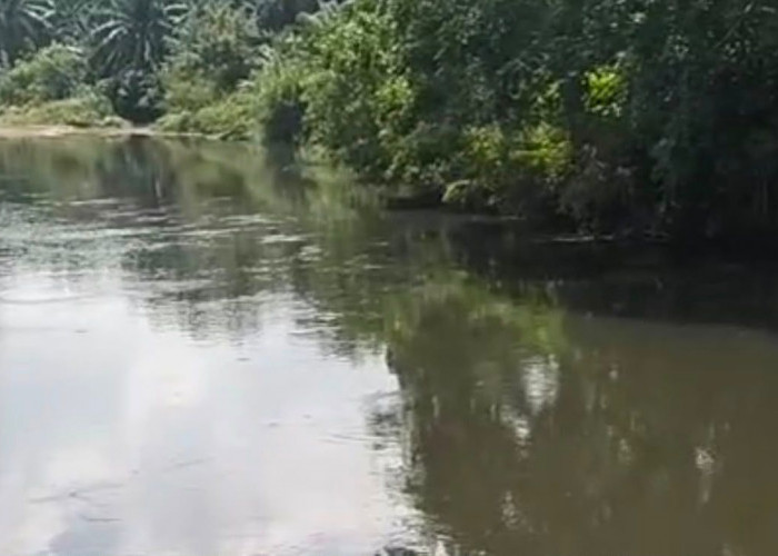 Sungai Selagan Menghitam, Warga Duga Akibat Limbah PT SAP