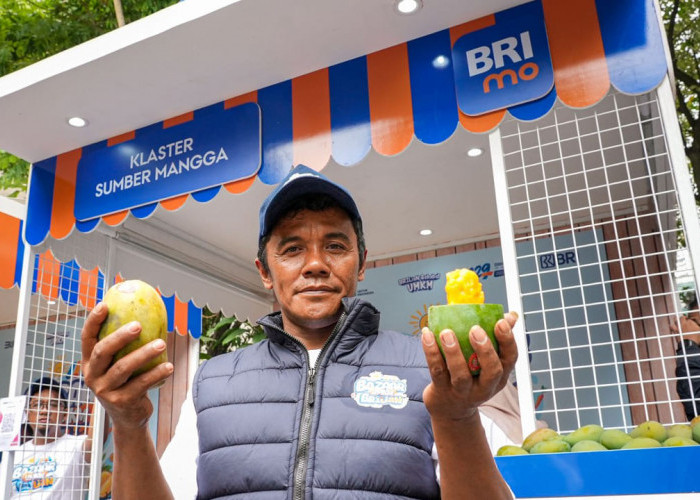 Diberdayakan BRI, Petani Mangga Bondowoso Mampu Perluas Lahan dan Tingkatkan Taraf Hidup