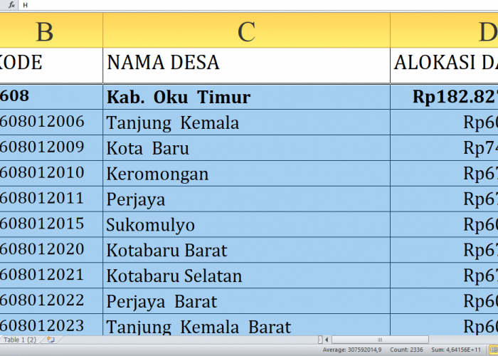 Rincian Dana Desa Tiap Desa Tahun 2025 Oku Timur, Total Rp263,3 Miliar: Ini Desa Terbesar Mulai Huruf A-N