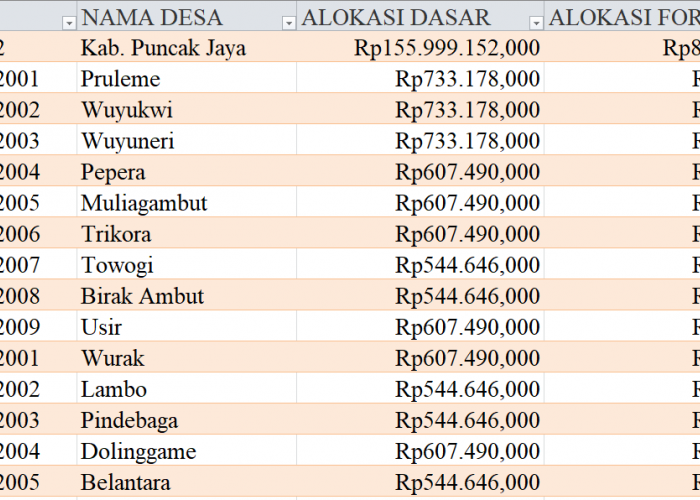Tabel Rincian Dana Desa 2024 Kabupaten Puncak Jaya, Papua Tengah: Ini Lengkapnya