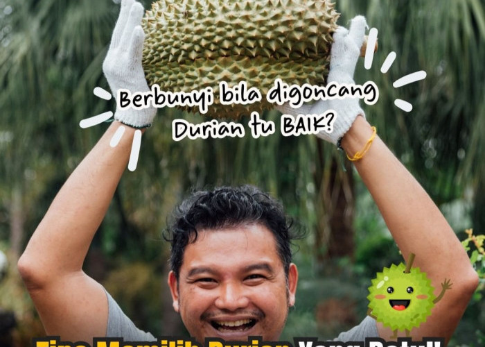 Cara Cerdas Memilih Durian Terbaik di Bengkulu, Tips dan Trik untuk Penggemar Raja Buah!