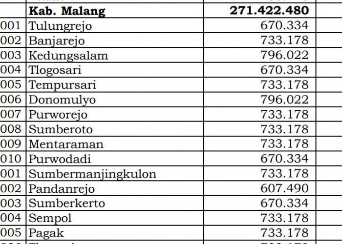 Berapa Rincian Dana Desa 2024 Malang 1, Jawa Timur: di Sini Lengkapnya