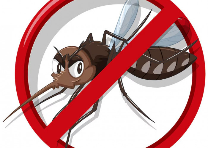 Sederhana, Ini 5 Cara Efektif Mengusir Nyamuk
