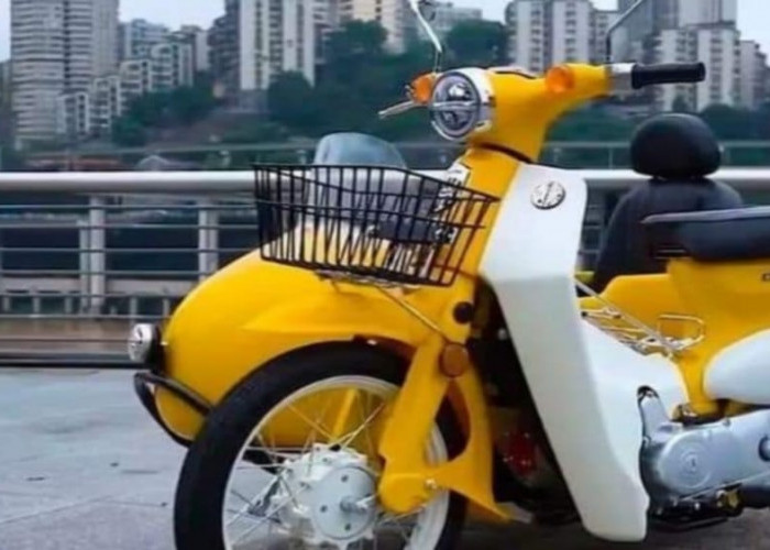 Sepeda Motor Retro Jialing Coco Super Cub, Asal Pabrikan China Harga Bersaing