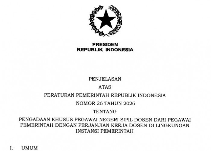 Pemerintah Bentuk Panitia Khusus Seleksi PNS Dosen, Ini Tugasnya