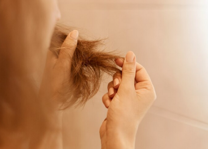Rambut Bercabang Bikin Risih? Ketahui Penyebab dan Solusi Terbaiknya dengan 7 Tips Berikut Ini