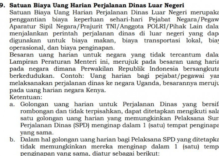 Aturan Baru Perjalanan Dinas 2026, Uang Harian ASN Bisa Berkurang hingga 40 Persen