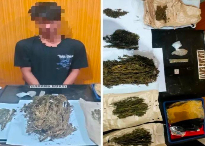 Polresta Bengkulu Tangkap Dua Pengedar Ganja, Sita 8 Paket Besar Siap Edar