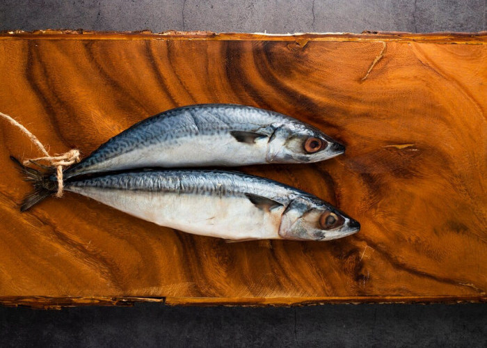 Mulai Hindari, 7 Jenis Ikan yang Tidak Boleh Dimakan Oleh Penderita Kolesterol Tinggi
