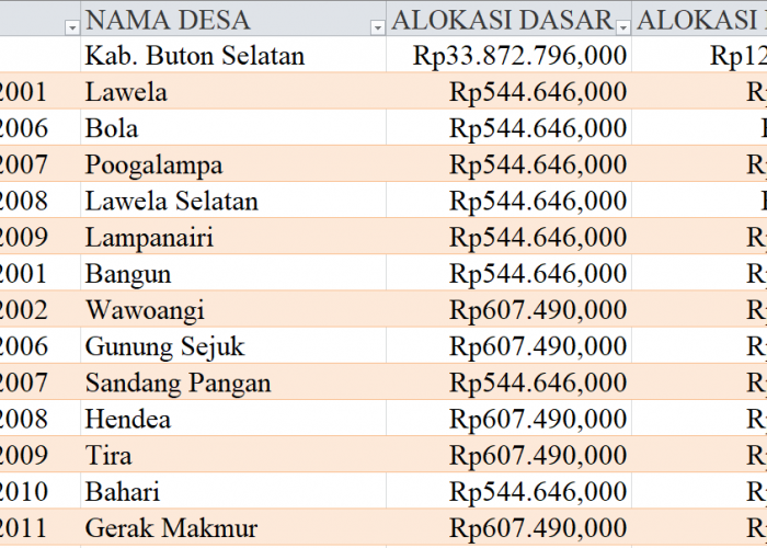 Tabel Rincian Dana Desa 2024 Kabupaten Buton Selatan, Sulawesi Tenggara: Ini Lengkapnya