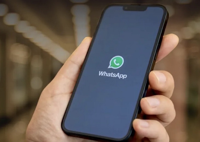 WhatsApp Android Bakal Punya Desain Baru
