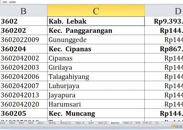 Ini Rincian 65 Desa di Kabupaten Lebak Provinsi Banten Raih Dana Insentif Desa 2024