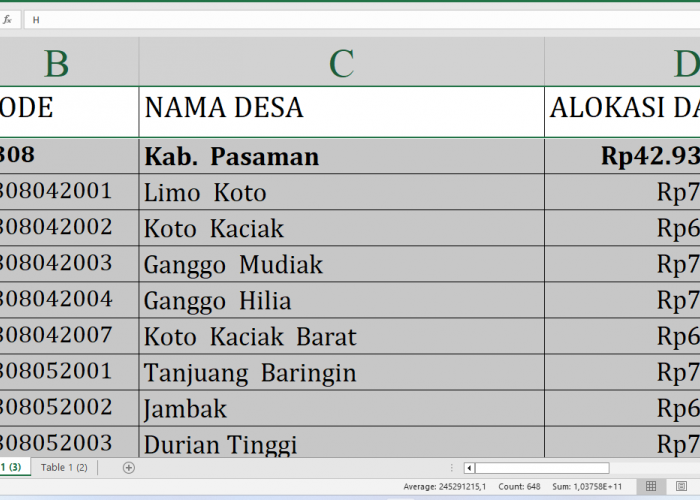 Dana Desa 2025 Pasaman Rp69,2 miliar, Berikut Rincian per Desa: Simak yang Terbesar