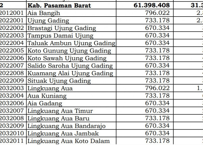 Fantastis! Pembagian Dana Desa 2024 Pasaman Barat, Sumatera Barat: 2 Desa 3 Miliar