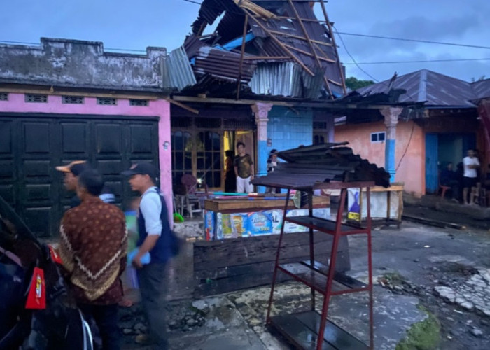 Atap Rumah Beterbangan, Angin Kencang dan pohon tumbang di Kepahiang Bikin Panik Warga