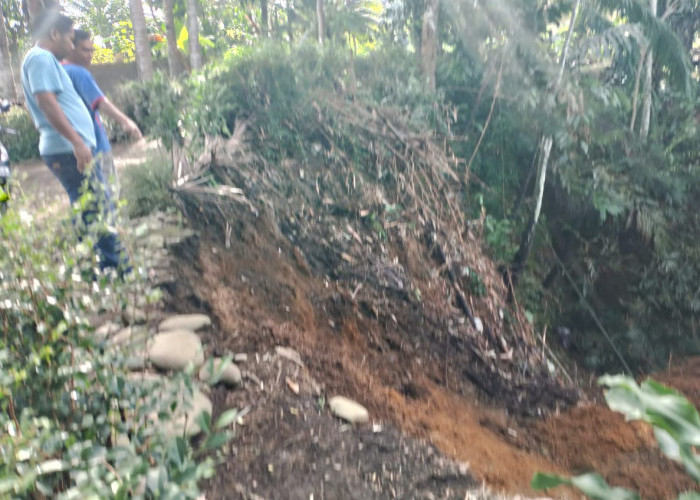 Hujan Deras Picu Longsor di Lubuk Mukti Mukomuko, Jalan Desa Tergerus