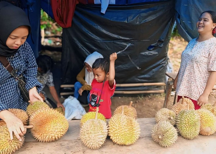 Musim Durian di Kedurang Berakhir, Pedagang Raup Omzet Jutaan Rupiah