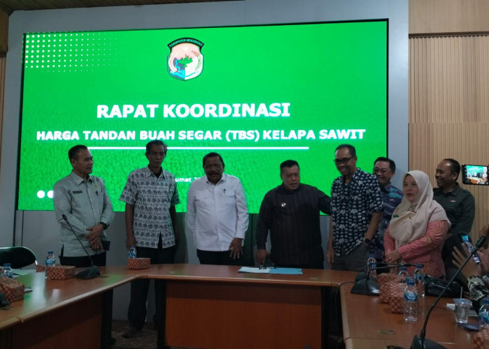 Harga TBS Sawit di Mukomuko Turun, Pemprov Bengkulu Tetapkan Kembali Harga Rp3.465 per Kg
