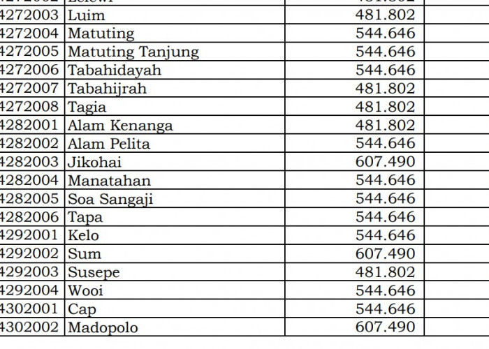 Dana Desa Tiap Desa 2024 Halmahera Selatan 2, Maluku Utara: Ini Rinciannya