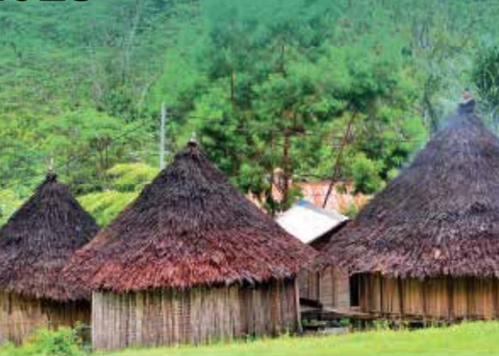 Selamat! Jatah BOK Puskesmas di Papua Pegunungan 162 Miliar: KB 49 Miliar