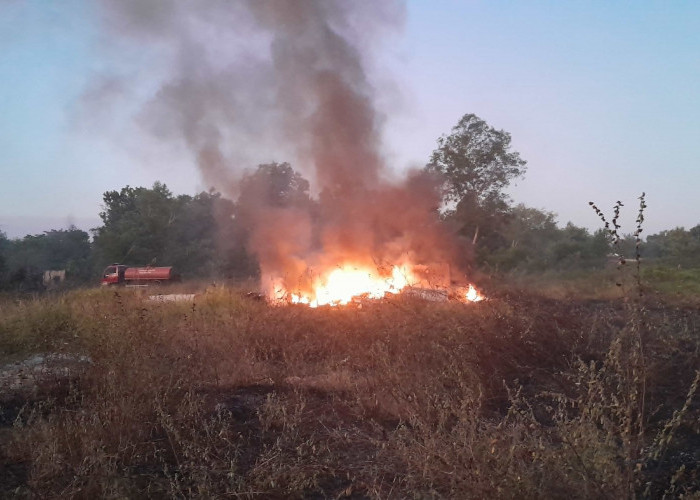 Tanda Potensi Kebakaran Hutan dan Lahan, Ini Sebaran 3 Titik Panas di Provinsi Bengkulu