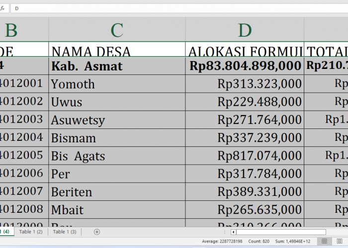 Rp210,7 Miliar Dana Desa 2025 untuk Asmat: Berikut Rincian dan Desa Penerima Terbanyak