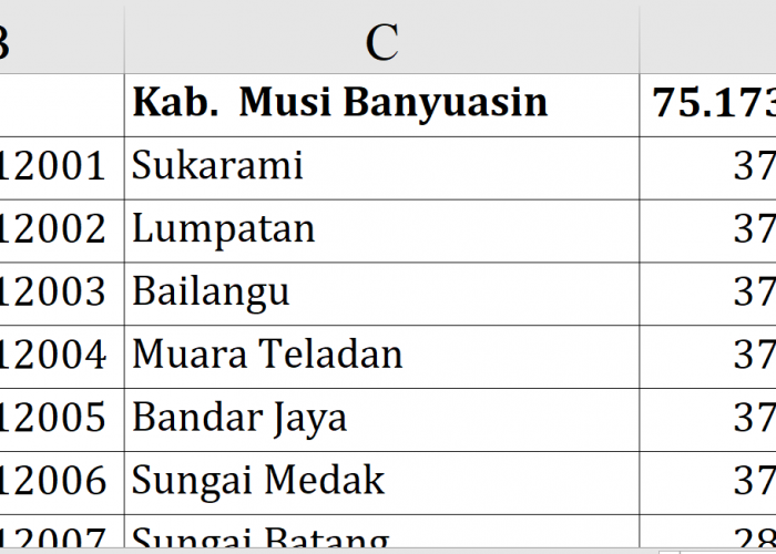 Rekor! Dana Desa 2026 Musi Banyuasin Rp75,1 Miliar, Epil Barat Tertinggi Rp514 Juta 