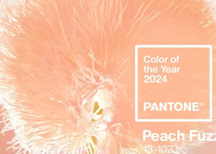 Warna 2024: Bye-bye Warna Sage Green, Pantone Rilis Warna Peach Fuzz