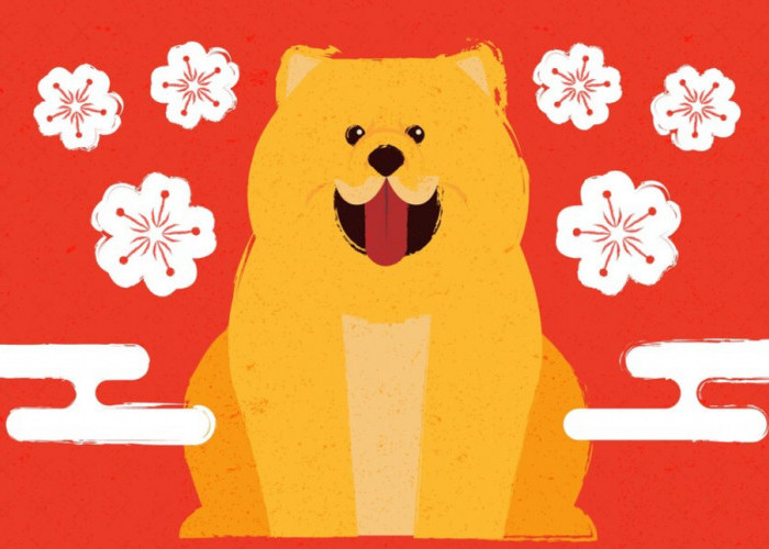 Wow! Ini Tips Menjaga Romantisme Shio Anjing di Tahun Ular Kayu, Tahun 2025 Nanti