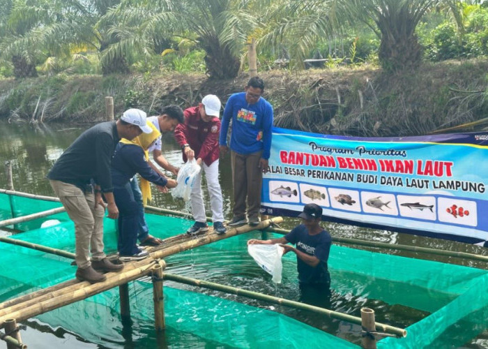 80 Ribu Benih Kakap Putih Disalurkan ke Nelayan Kungkai Baru, Dukung Budidaya Perikanan di Seluma